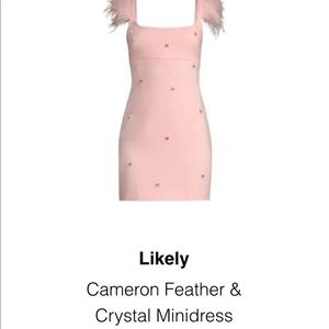 Likely brand. Cameron feather & crystal minidress size 6 in rose shadow